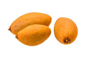 Sapodilla