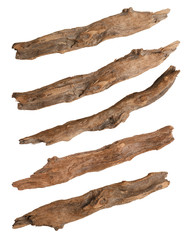 dry branches isolated on white background,