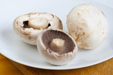 champignons