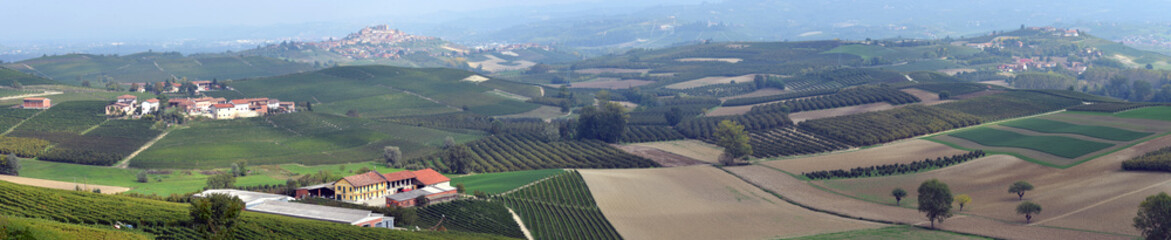 Naklejka premium panorama of autumnal vineyards in Tuscany