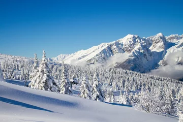 Crédence en verre imprimé Dolomites Paganella ski