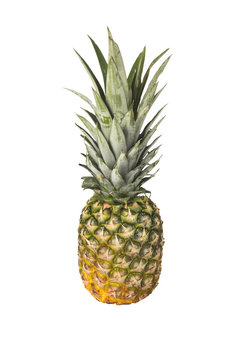 Pineapple on White