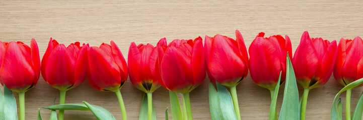 Red tulips banner