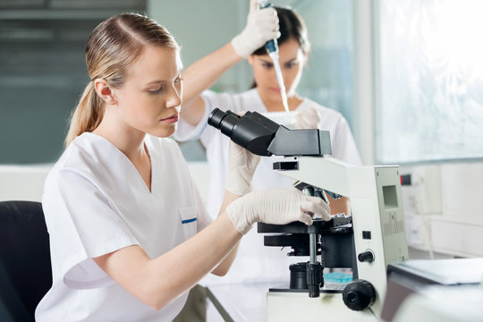 Scientist Using Microscope In Lab