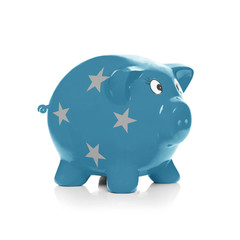 Piggy bank with flag painting over it - Micronesia