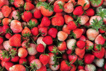 strawberry background