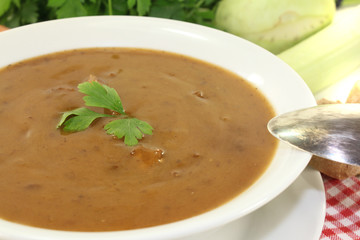Ochsenschwanzsuppe mit Rindfleisch