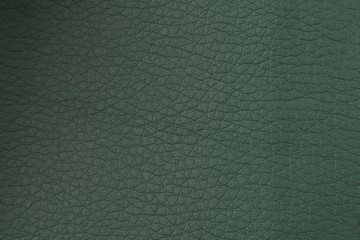 Green leather texture closeup