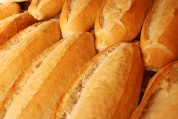 Bread