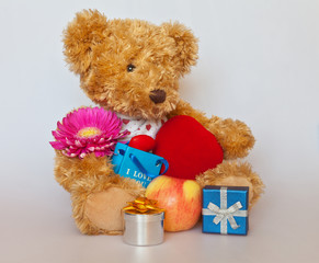 Teddy Bear with gifts and flower