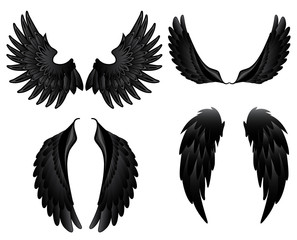 Obraz premium Black wings