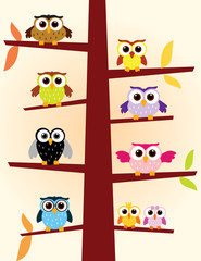 Owls colors