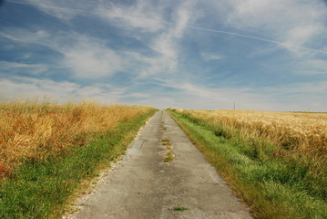 Petite route de campagne au Périgord Vert