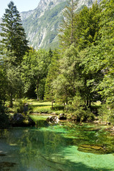 Triglav Nationalpark - Waldsee