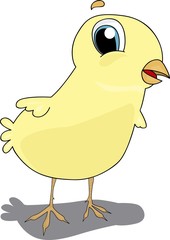 Little chicken