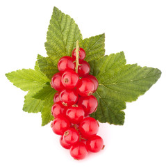 Red currants and green leaves still life