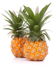 Pineapple tropical fruit or ananas