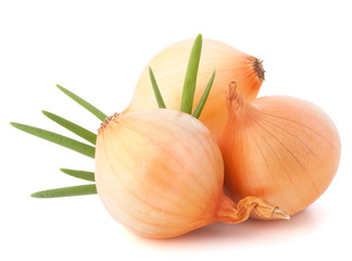 Onion vegetable