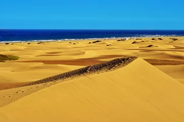 Foto op Plexiglas Natuurreservaat van de duinen van Maspalomas, in Gran Canaria, Spanje © nito