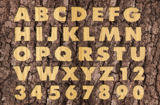 Carved Oakwood Alphabet