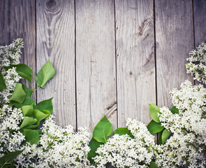 spring background with white flowers