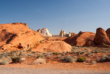 Stone Desert