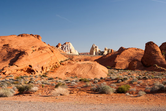 Stone Desert