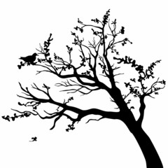 Tree silhouette with leaves on white background. - 61216985