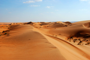 Fototapeta na wymiar Beautiful dunes in Omani desert