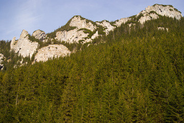 Dolina Kościeliska, Tatry, Polska