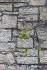 Cemetery Wall and moss closeup