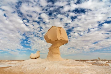 Photo sur Aluminium Egypte Unusual rock formations in White desert, Farafra, Egypt