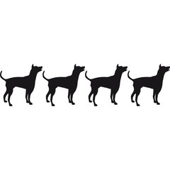 Dog Design
