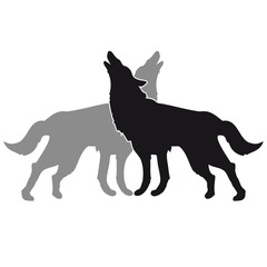 2 Wolf Dogs