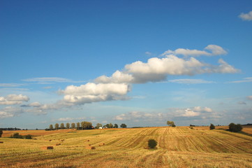 piękny letni krajobraz na polskiej wsi © Darios