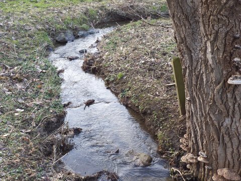 Kleiner Bachlauf