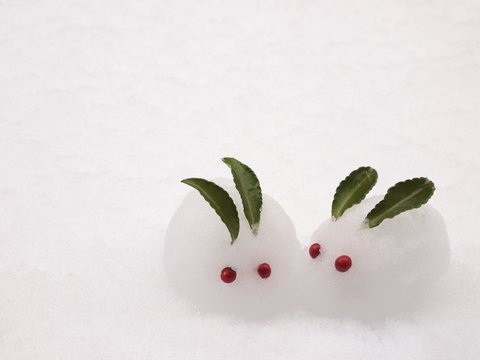 雪うさぎ Images – Browse 1,170 Stock Photos, Vectors, and Video