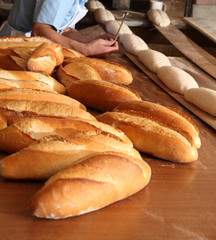 Bread