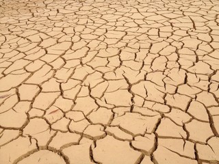 cracking clay background