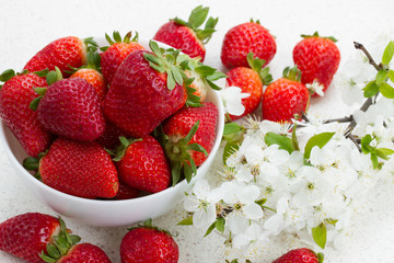 Pile of strawberries  with spring twigs