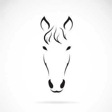 Vector of a horse face. Animals.