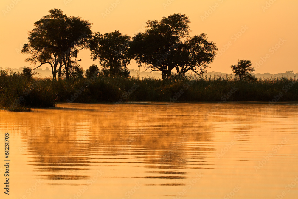 Canvas Prints Trees and reflection, Kwando river