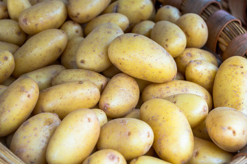 Basket of Pototoes (2)