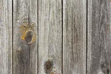 Drewniane tło © Zbyszek Nowak