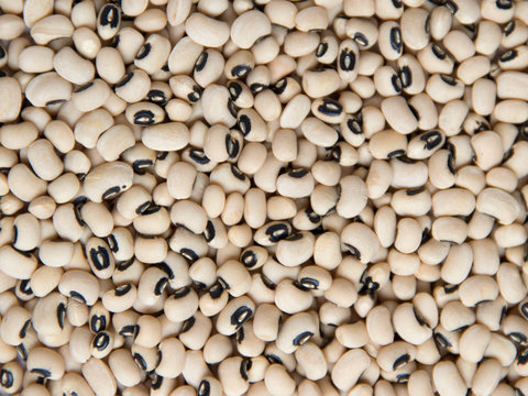 Black Eyed Peas