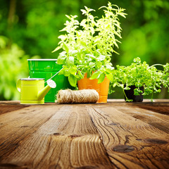 Outdoor gardening tools  on old wood table