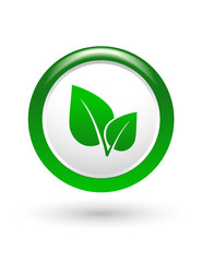 green leaf sign