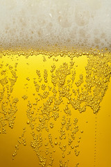 Bubbles and foam in a beer