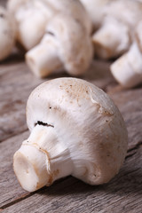 Fresh mushrooms macro. vertical