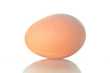 raw Egg